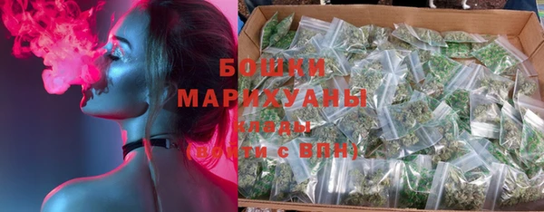 стаф Инта