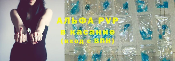 прущие грибы Богородицк